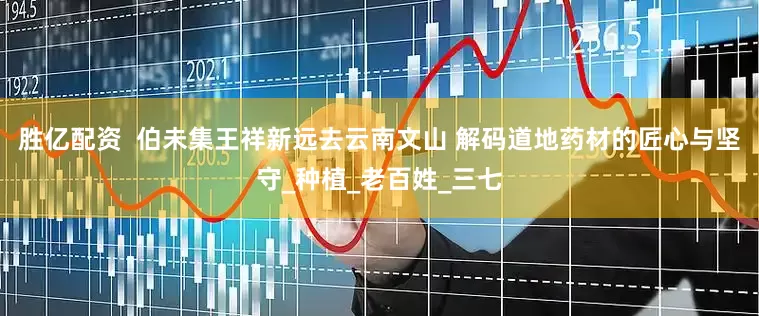 胜亿配资  伯未集王祥新远去云南文山 解码道地药材的匠心与坚守_种植_老百姓_三七