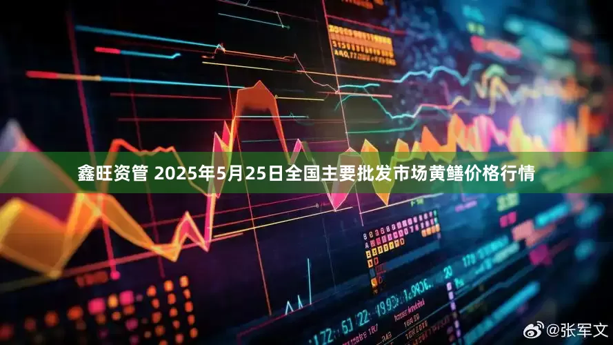 鑫旺资管 2025年5月25日全国主要批发市场黄鳝价格行情