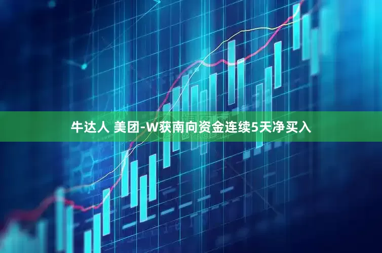牛达人 美团-W获南向资金连续5天净买入