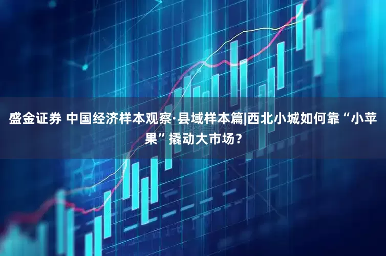 盛金证券 中国经济样本观察·县域样本篇|西北小城如何靠“小苹果”撬动大市场？
